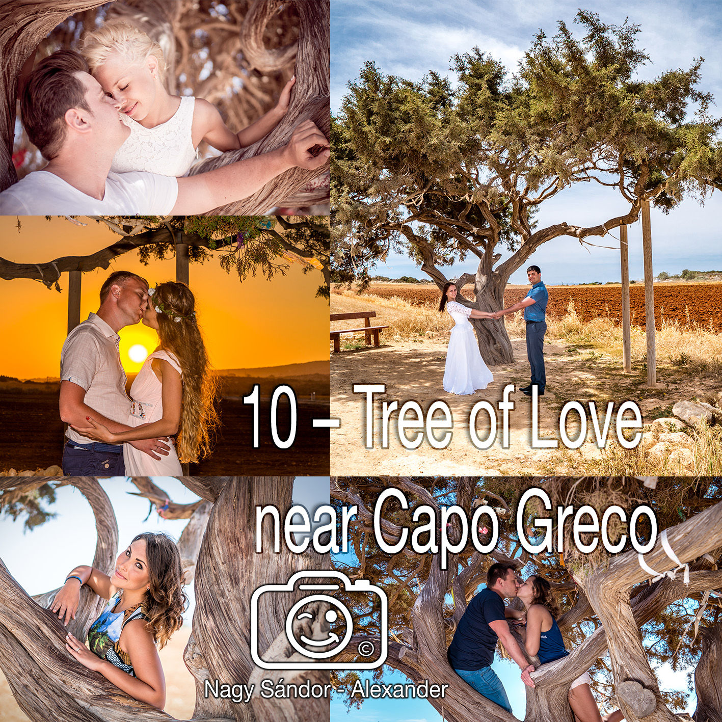 10 – Tree of Love – near Capo Greco